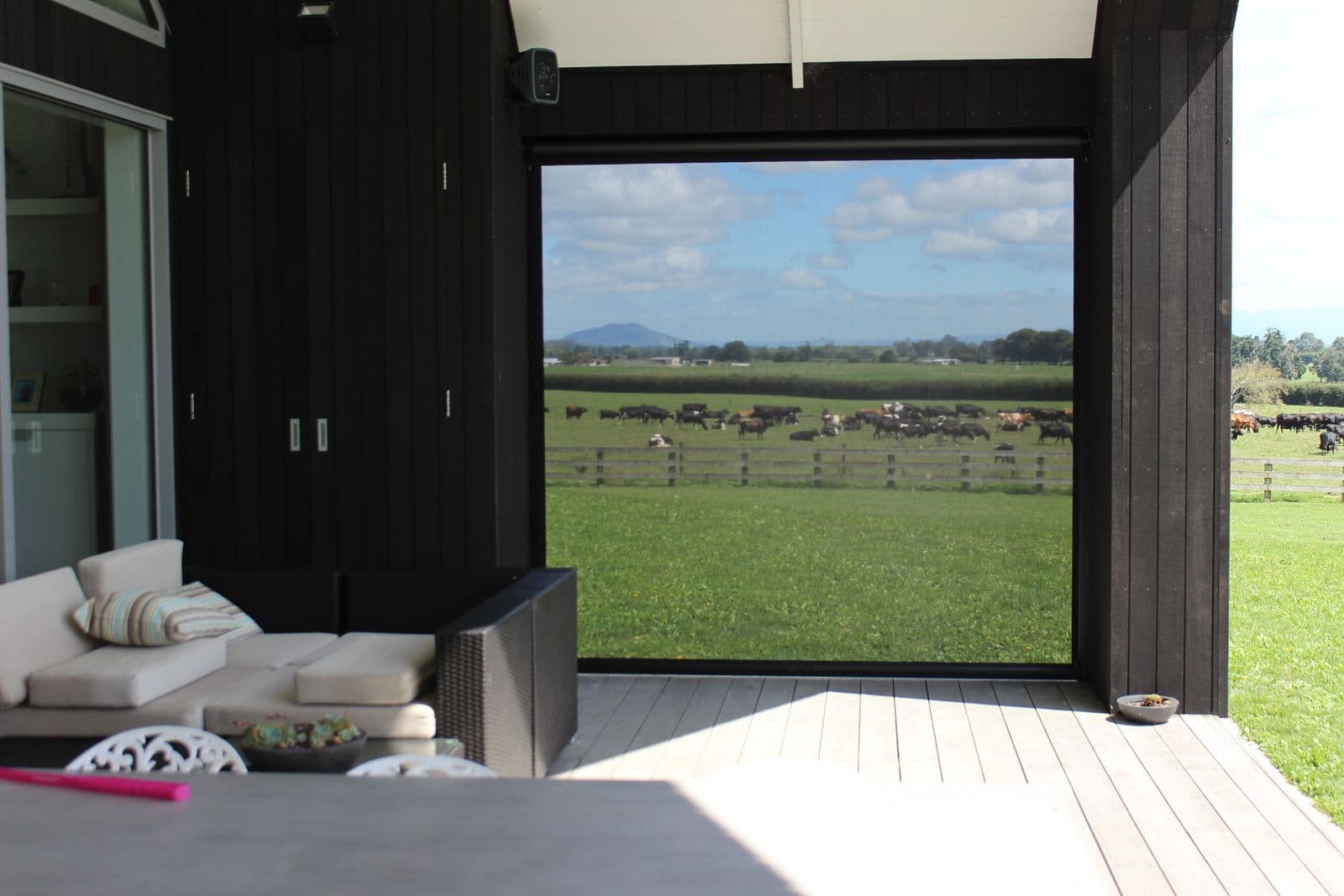 Ziptrak mesh blind framing a rural view from an indoor lounge