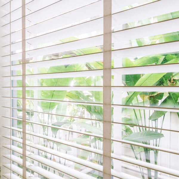 Interior Blinds & Shutters