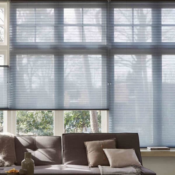Thermacell honeycomb blinds on living room windows above a sofa