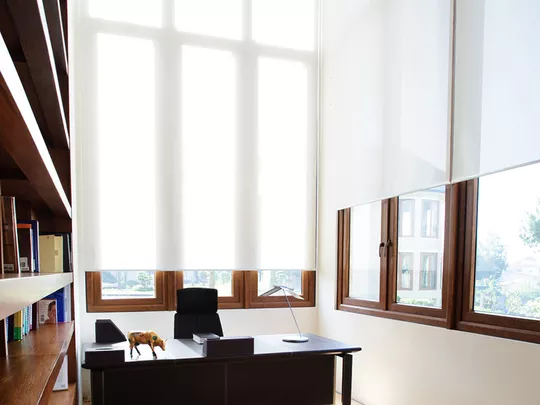 Sunfilter roller blinds letting soft light into a home office