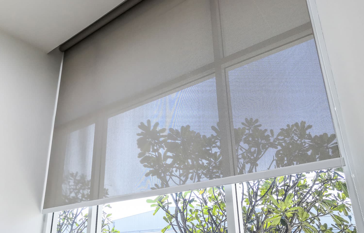 Sunscreen roller blinds on windows keeping the sun out of the house