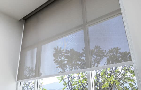 Roller blinds shading a sunny window